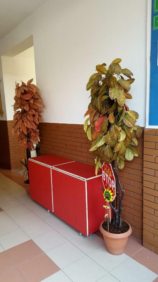 Home Hostel Σκόδρα Εξωτερικό φωτογραφία